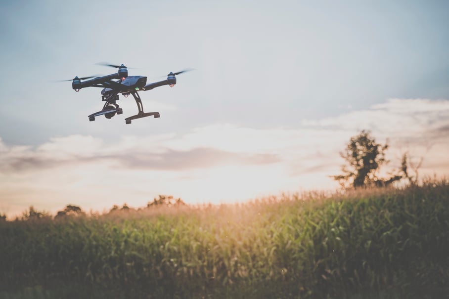 Drones and Conservation